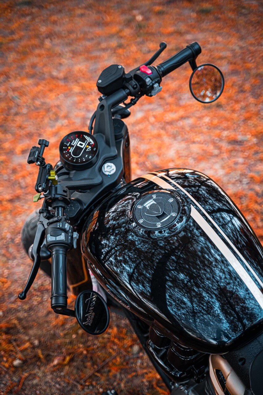 Benda Napoleon 500 Bobber, Phân Phối Chính Hãng, Giá Rẻ Tại An Giang