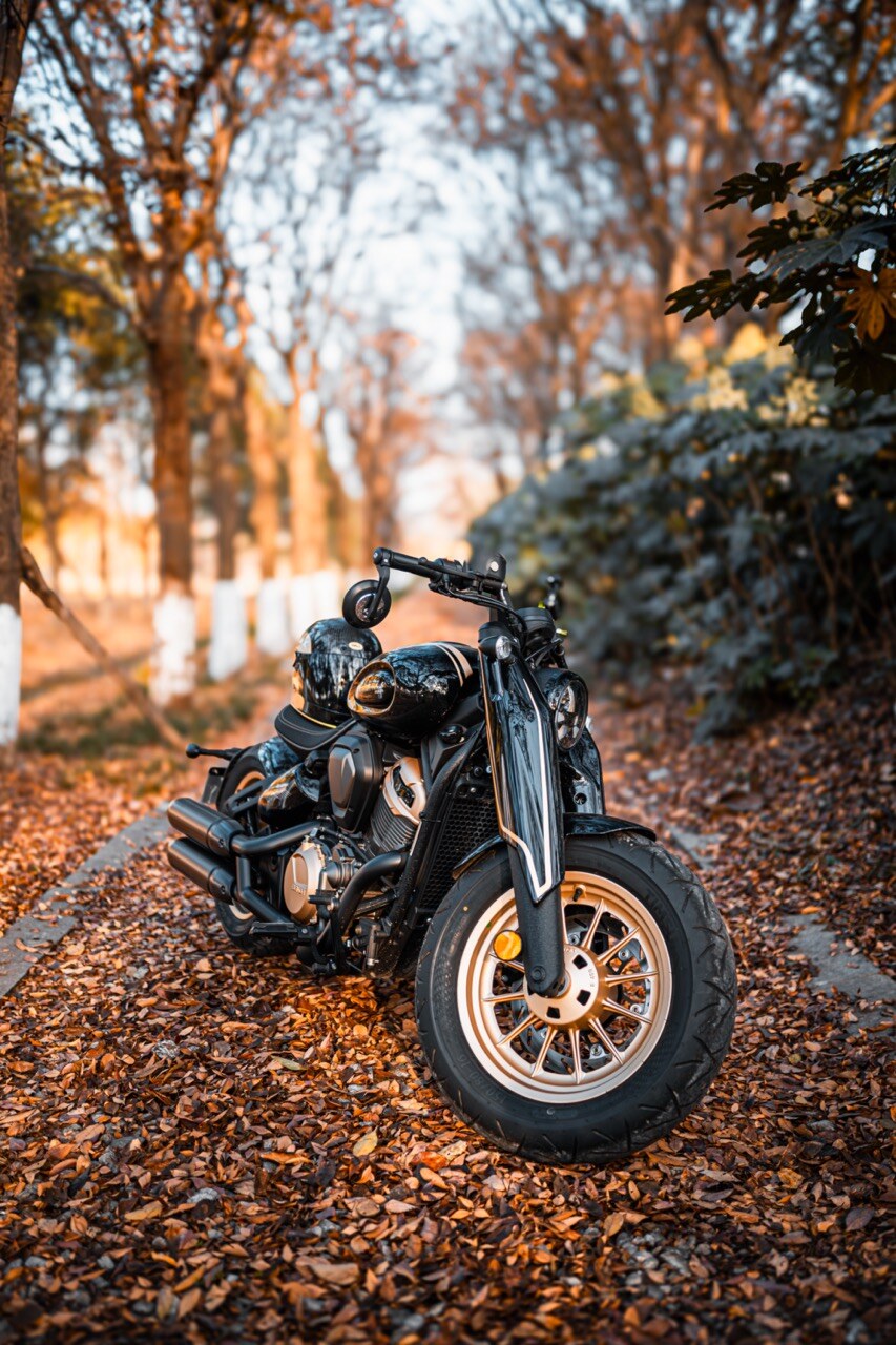 Benda Napoleon 500 Bobber, Phân Phối Chính Hãng, Giá Rẻ Tại An Giang