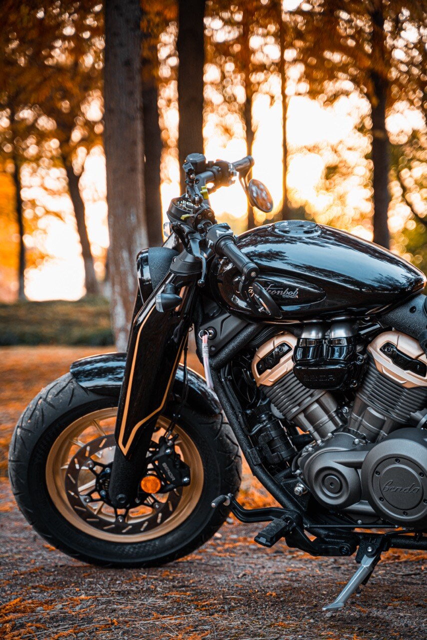 Benda Napoleon 500 Bobber, Phân Phối Chính Hãng, Giá Rẻ Tại An Giang