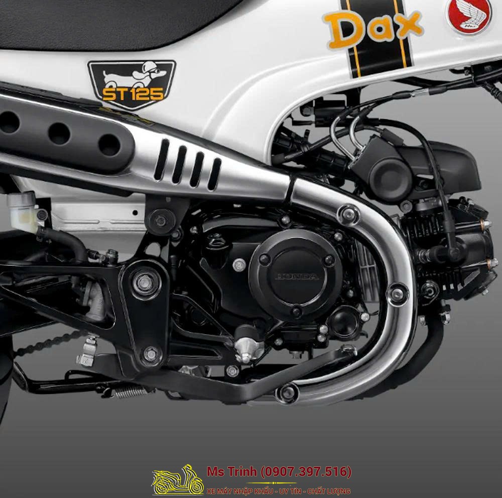 Honda Dax 125 2026 tại An Giang - Minibike Huyền Thoại Khung T-Bone Độc Đáo