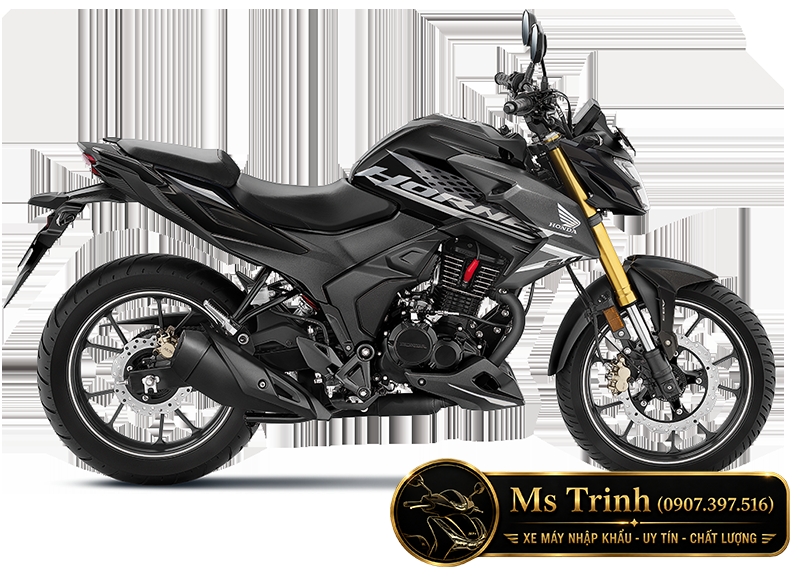 Honda Hornet 2.0 2026 - Naked Bike 184cc mới tại An Giang