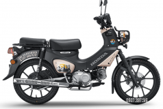 Honda Cross Cub CC110 2026 Special Version tại An Giang Bản Special có gì khiến người mê Cub muốn sở hữu?